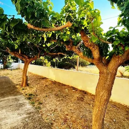 τέσσερις εποχές Apartman *