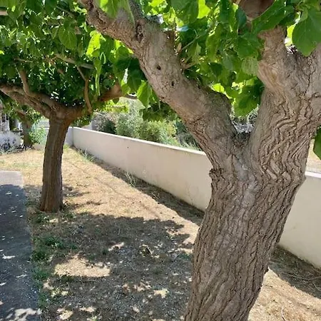 τέσσερις εποχές * Aetósz
